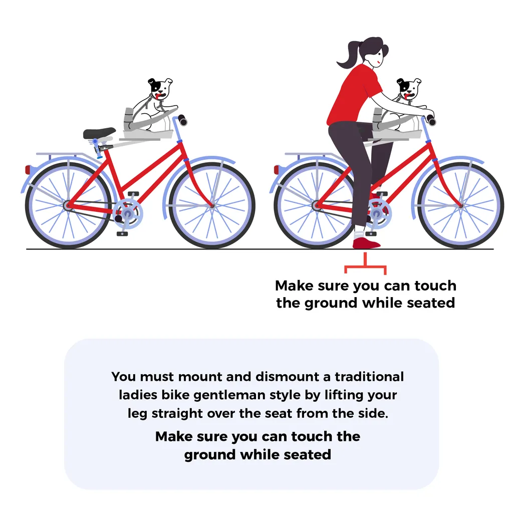 2025 Buddyrider® Series 2 Dog Bicycle Seat