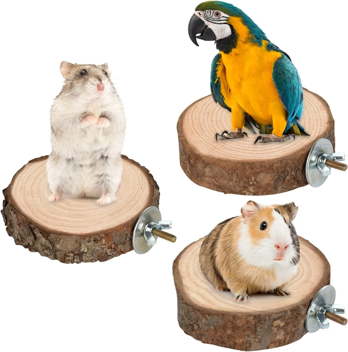 36 PCS Bird Perches Stand Toy, Natural Wood Parrot Perch Stand Bird Cage Branches Platform Accessories for Parakeets Cockatiels Conures Macaws Finches Love Birds