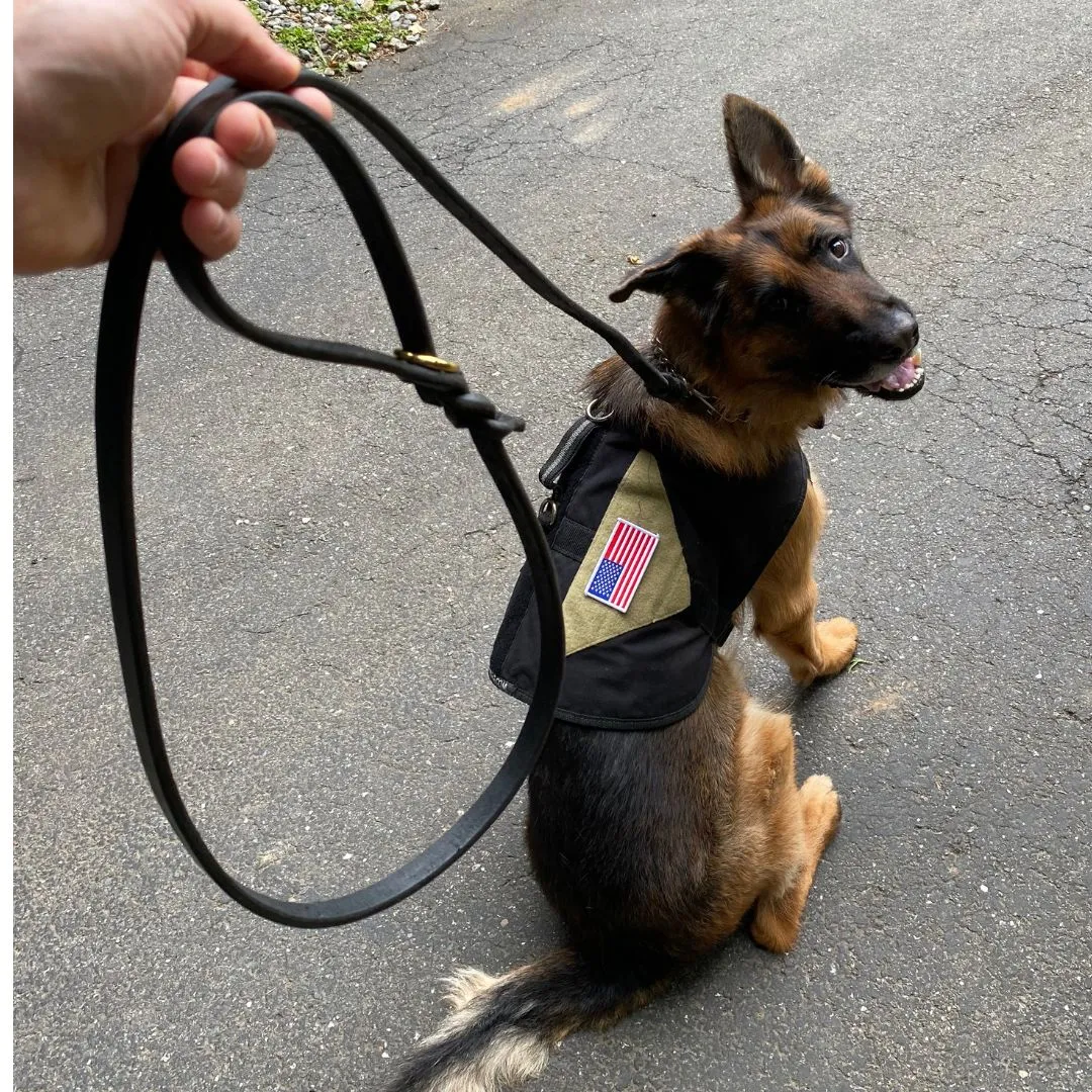 6 FT Braided Leather Dog Leash