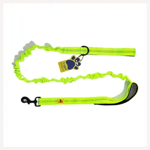 A a Pets' Dual Handle Bungee Leash - Green