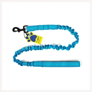 A a Pets' Heavy Duty Bungee Leash - Blue