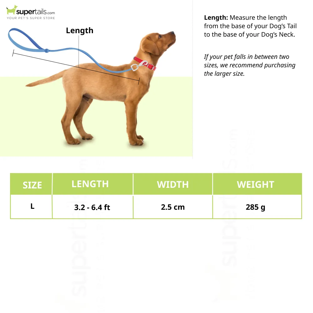 A Plus A Pets 3in1 Multi Purpose Bungee Leash for 2 Dogs (Blue)