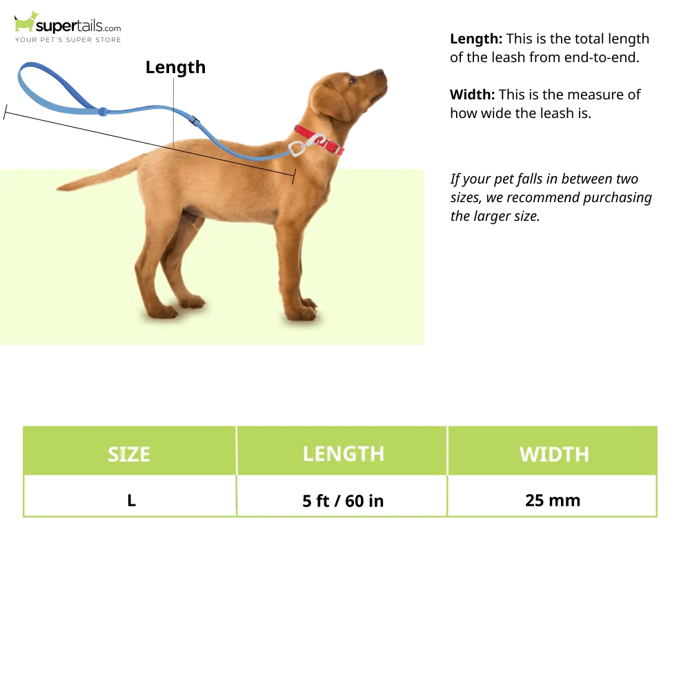A Plus A Pets Dual Handle Bungee Leash for Dogs (Green)