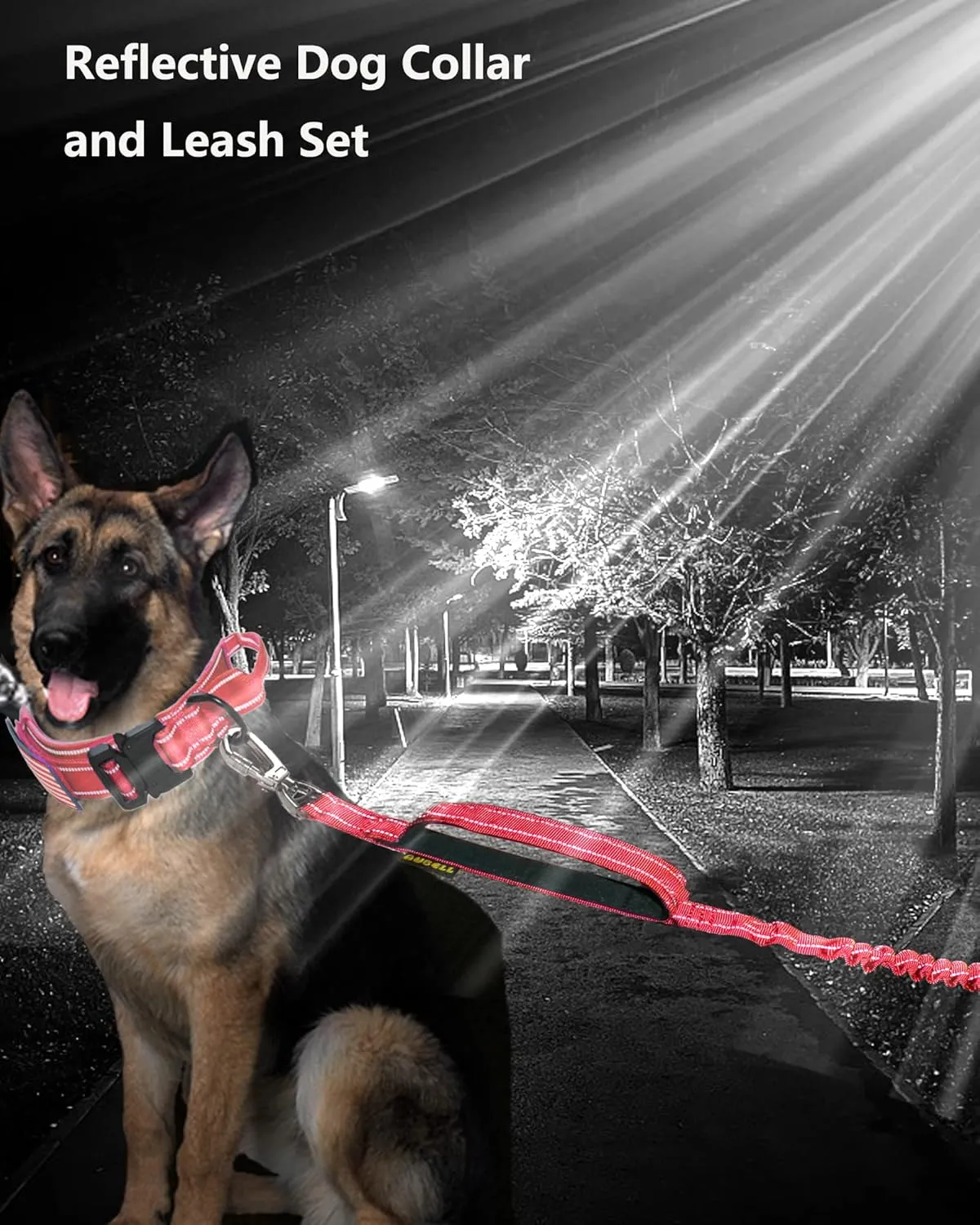 AUBELL Tactical Dog Collar and Leash Set, Reflective Adjustable Heavy Duty Military K9 Collars with Handle and Metal Buckle for Large Dogs, with Airtag Case and 2 Patches(Red,L)