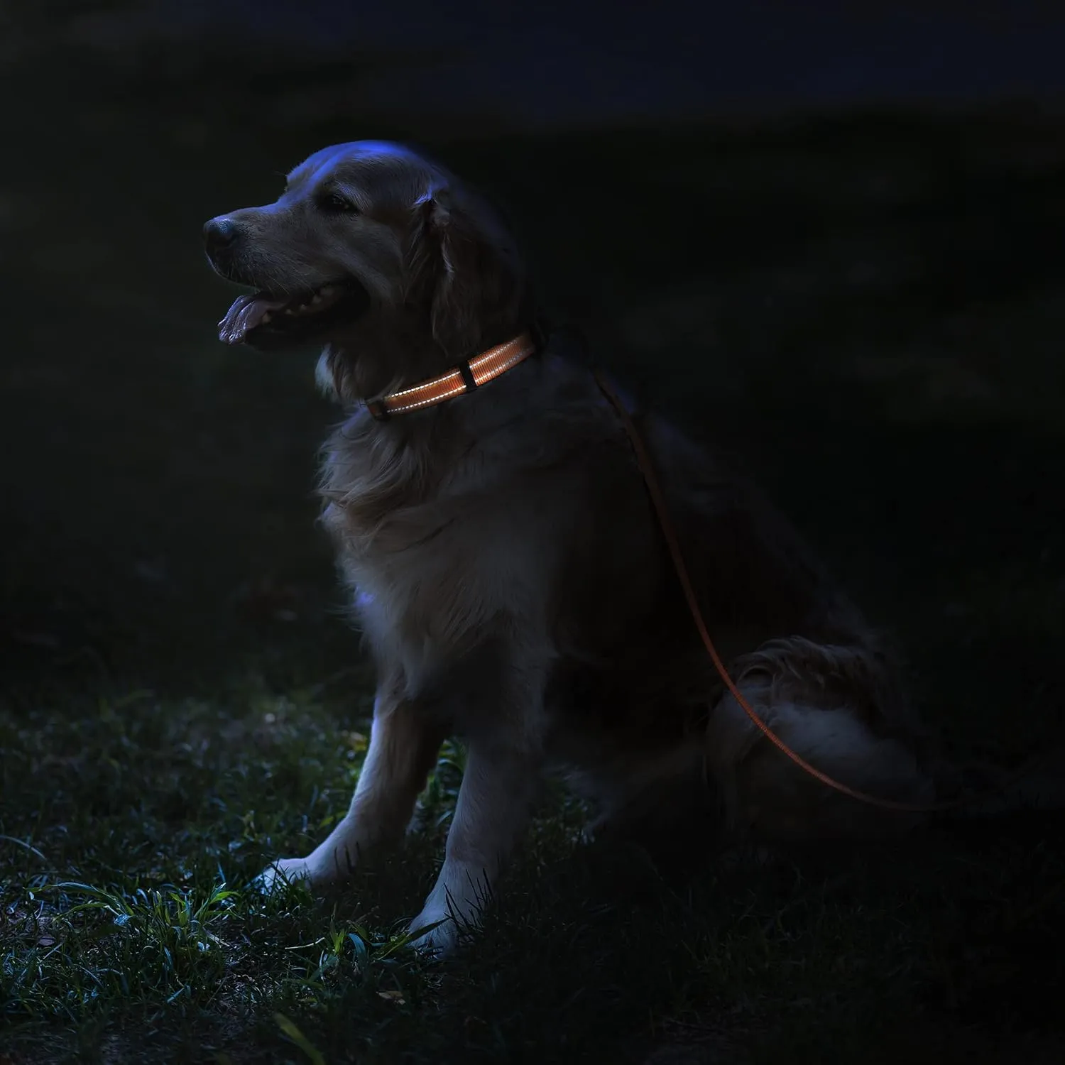 CollarDirect Reflective Dog Collar for a Small, Medium, Large Dog or Puppy with a Quick Release Buckle - Boy and Girl - Nylon Suitable for Swimming (18-26 Inch, Yellow)