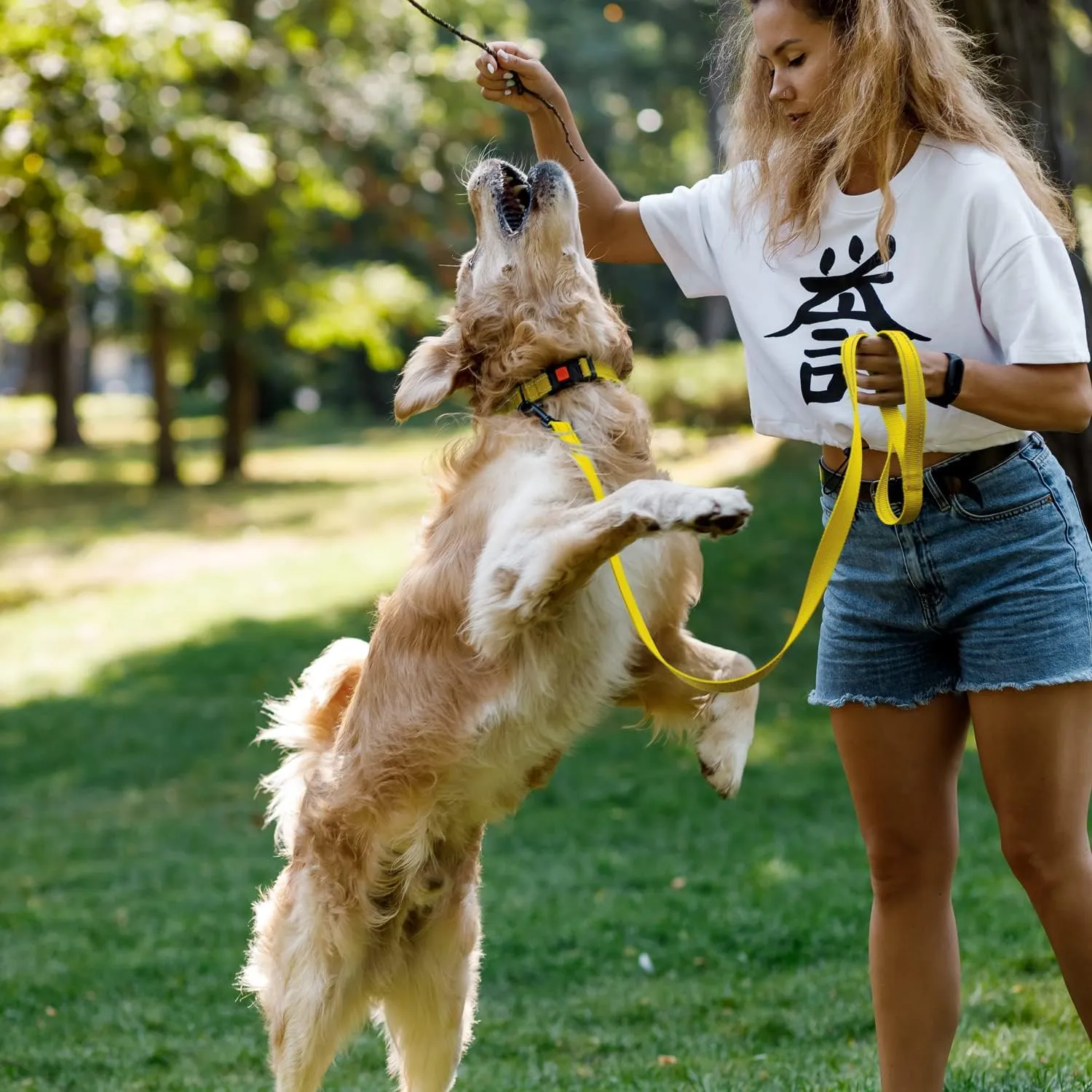 CollarDirect Reflective Dog Collar for a Small, Medium, Large Dog or Puppy with a Quick Release Buckle - Boy and Girl - Nylon Suitable for Swimming (18-26 Inch, Yellow)