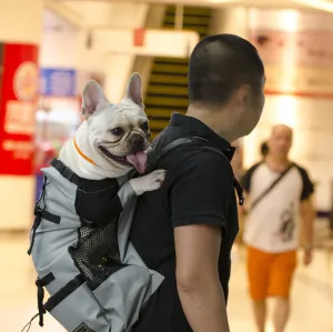 Dog Backpack Carrier