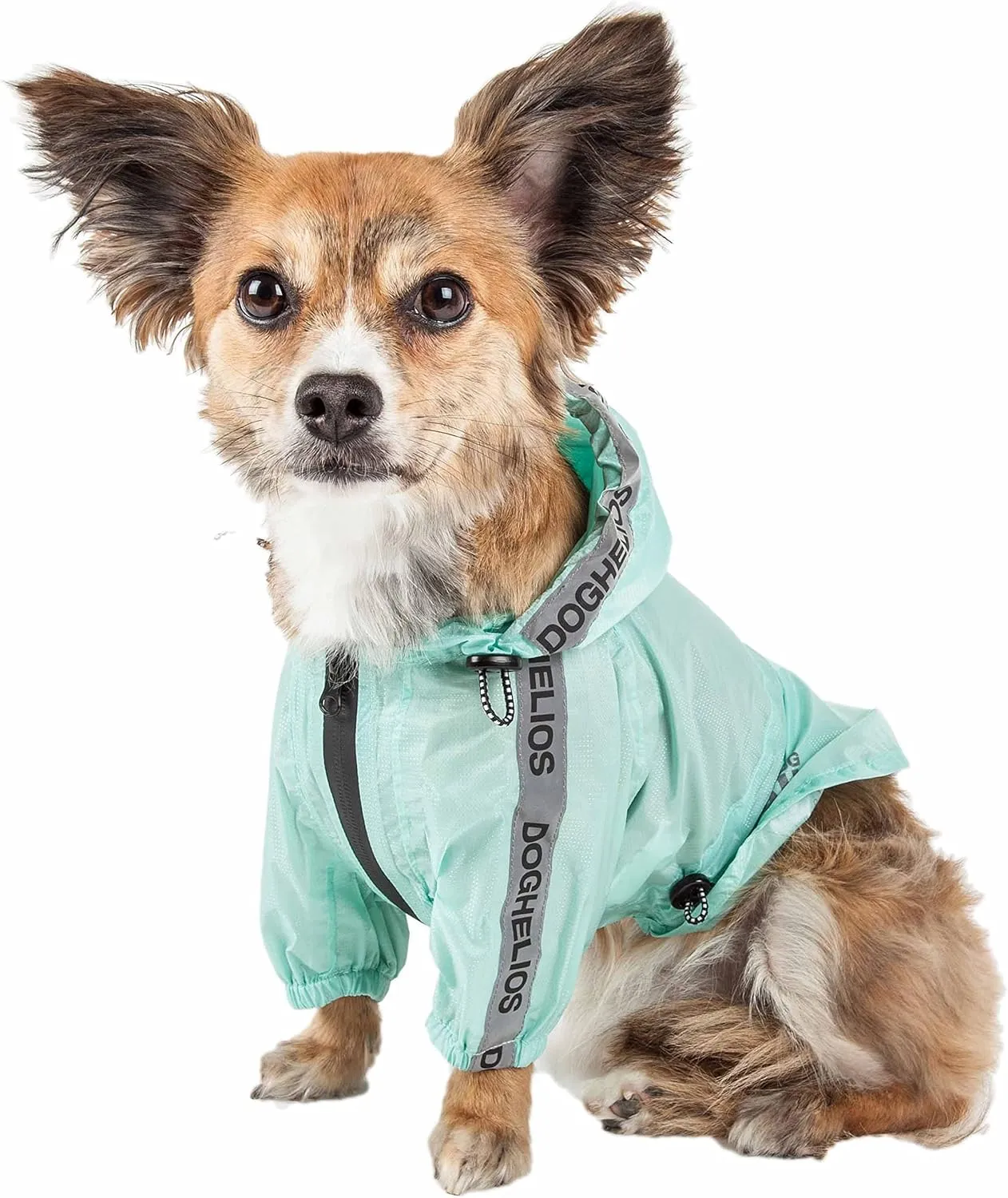 Dog Helios Torrential Shield Adjustable and Waterproof Dog Raincoat Poncho, SM, Green