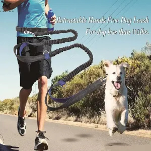 Dog Running Pull Dog Lead