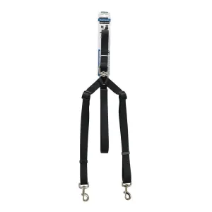 Dual Dog Leash Walk 2 Dogs