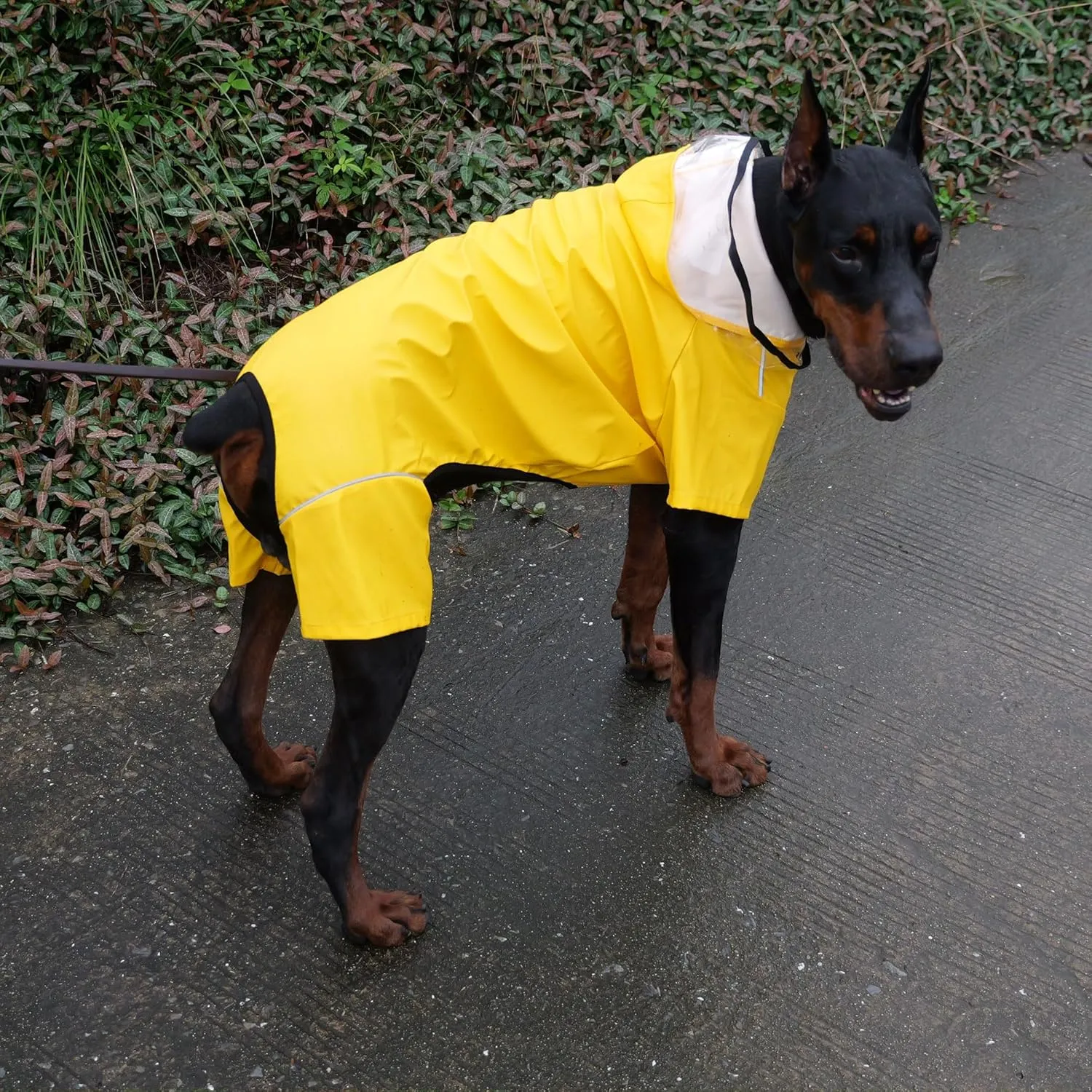 Four-Legged Full Coverage Waterproof Dog Raincoat with Reflective Features Pet Raincoats for Large Medium Small Dogs Yellow M