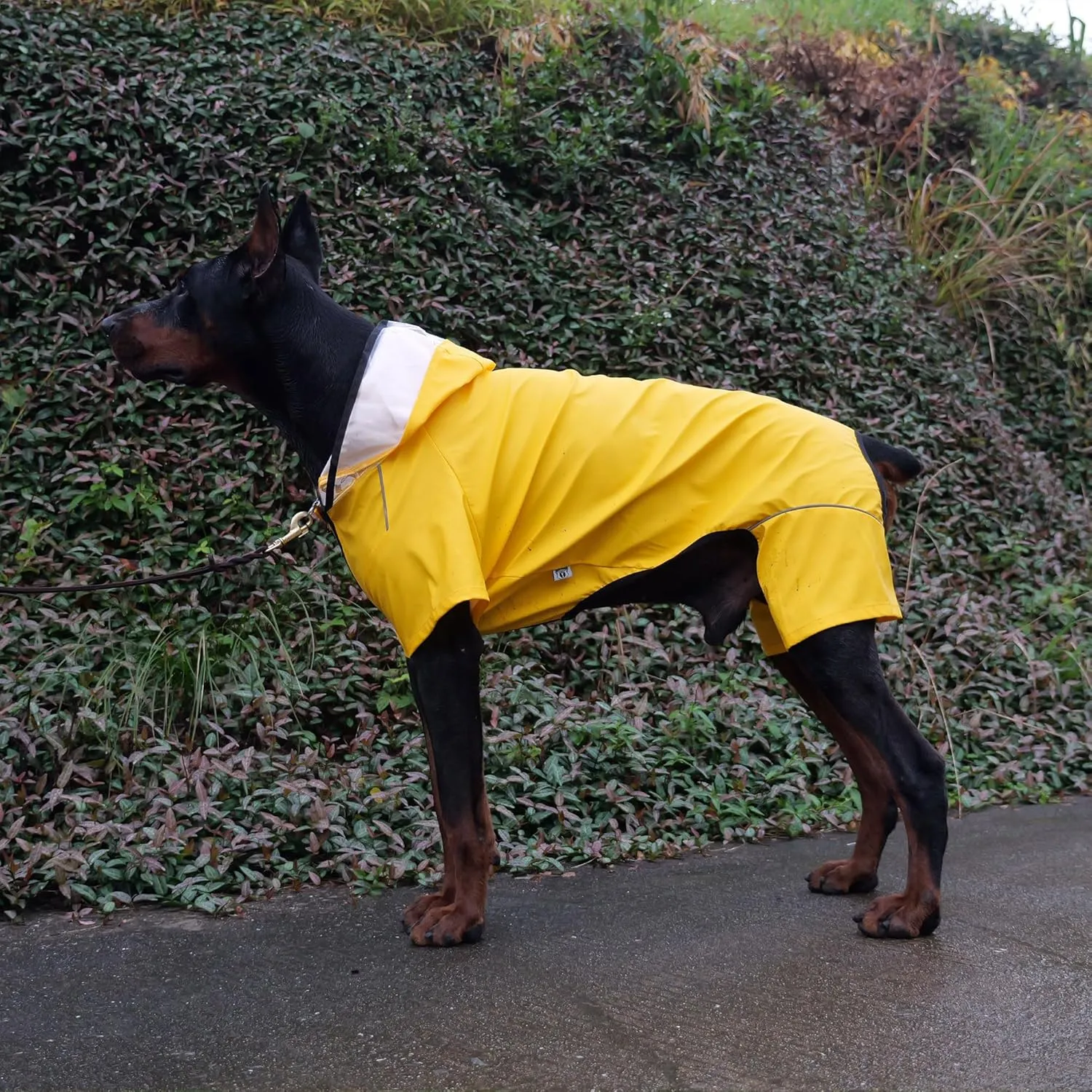 Four-Legged Full Coverage Waterproof Dog Raincoat with Reflective Features Pet Raincoats for Large Medium Small Dogs Yellow M