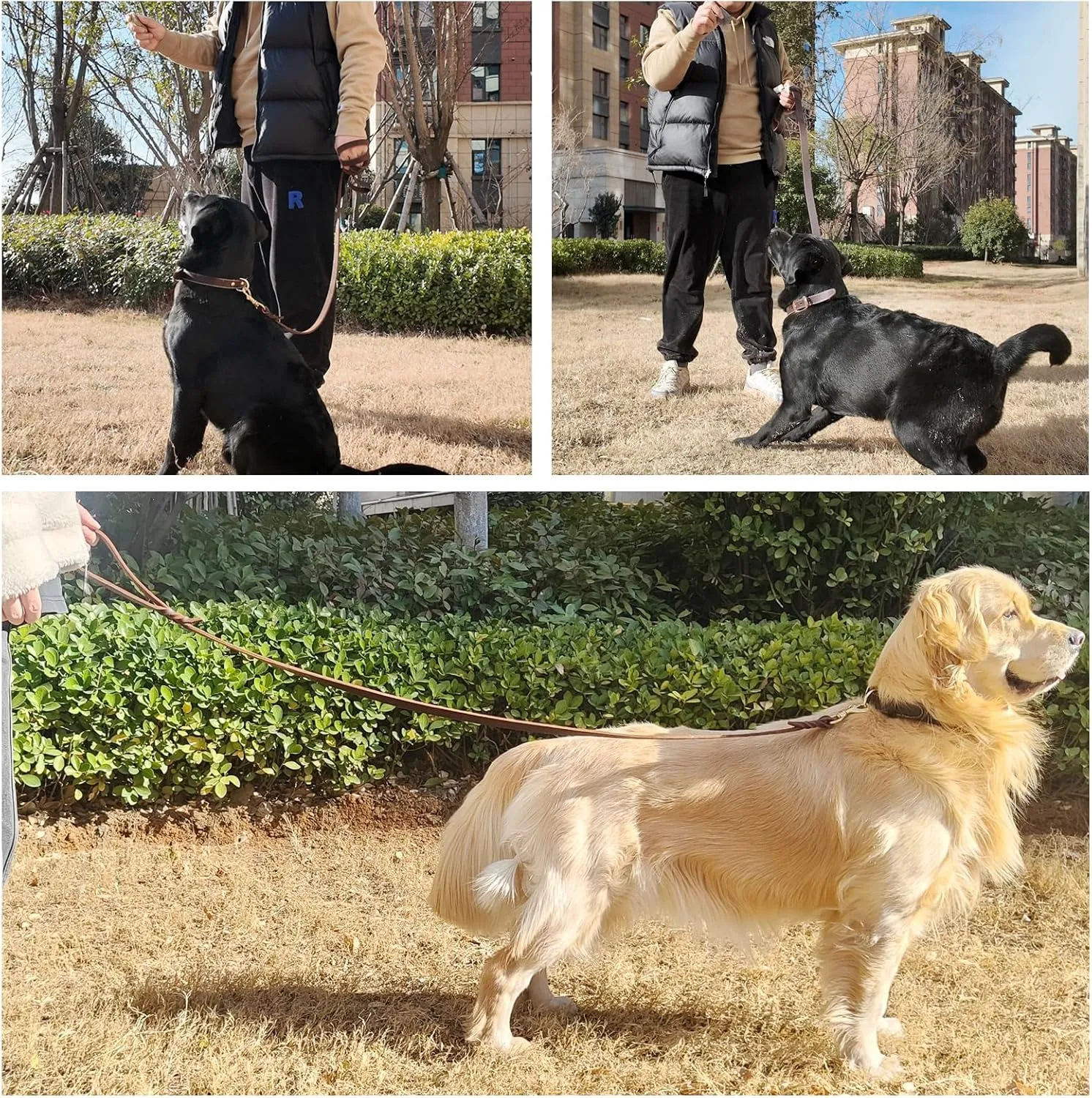 Leather Dog Leash 6ft x 3/4 inch, Heavy Duty, Soft and Strong for Large, Medium, Small Dogs - Premium Leather Leash for Dogs