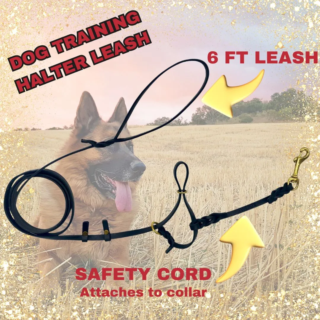 Leather Dog Training Halter & Leash