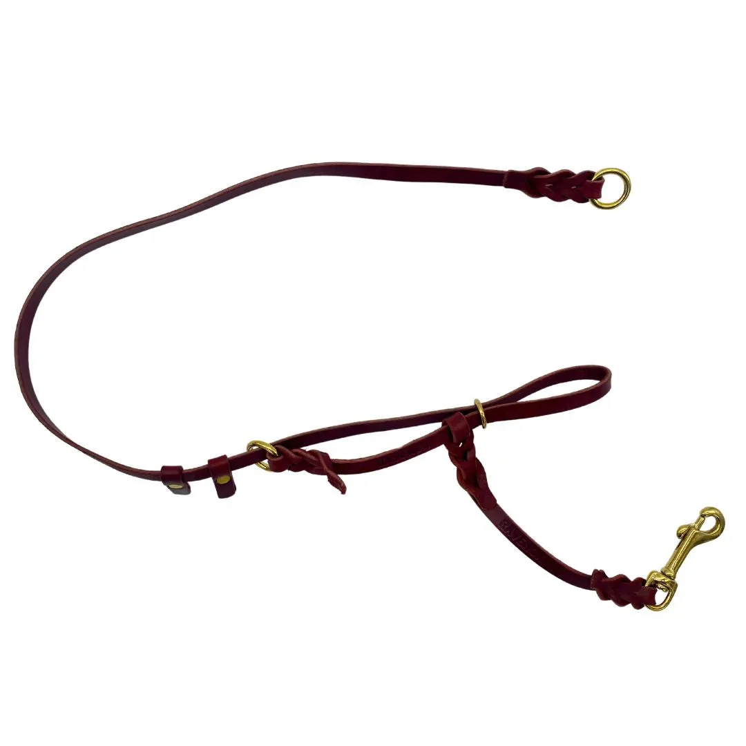 Leather Dog Training Halter & Leash