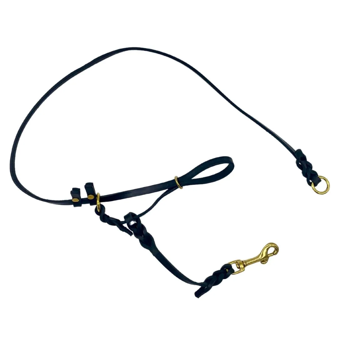 Leather Dog Training Halter & Leash