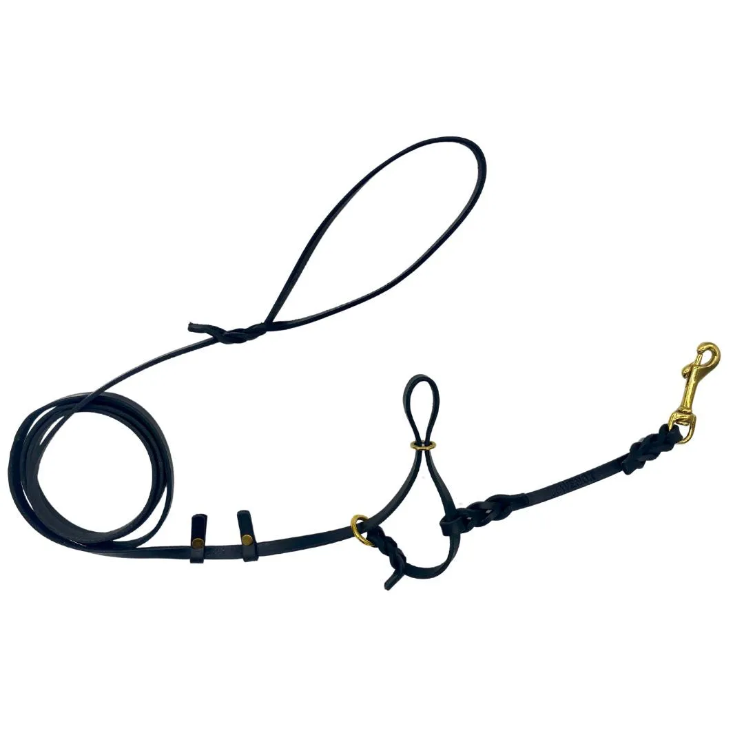 Leather Dog Training Halter & Leash
