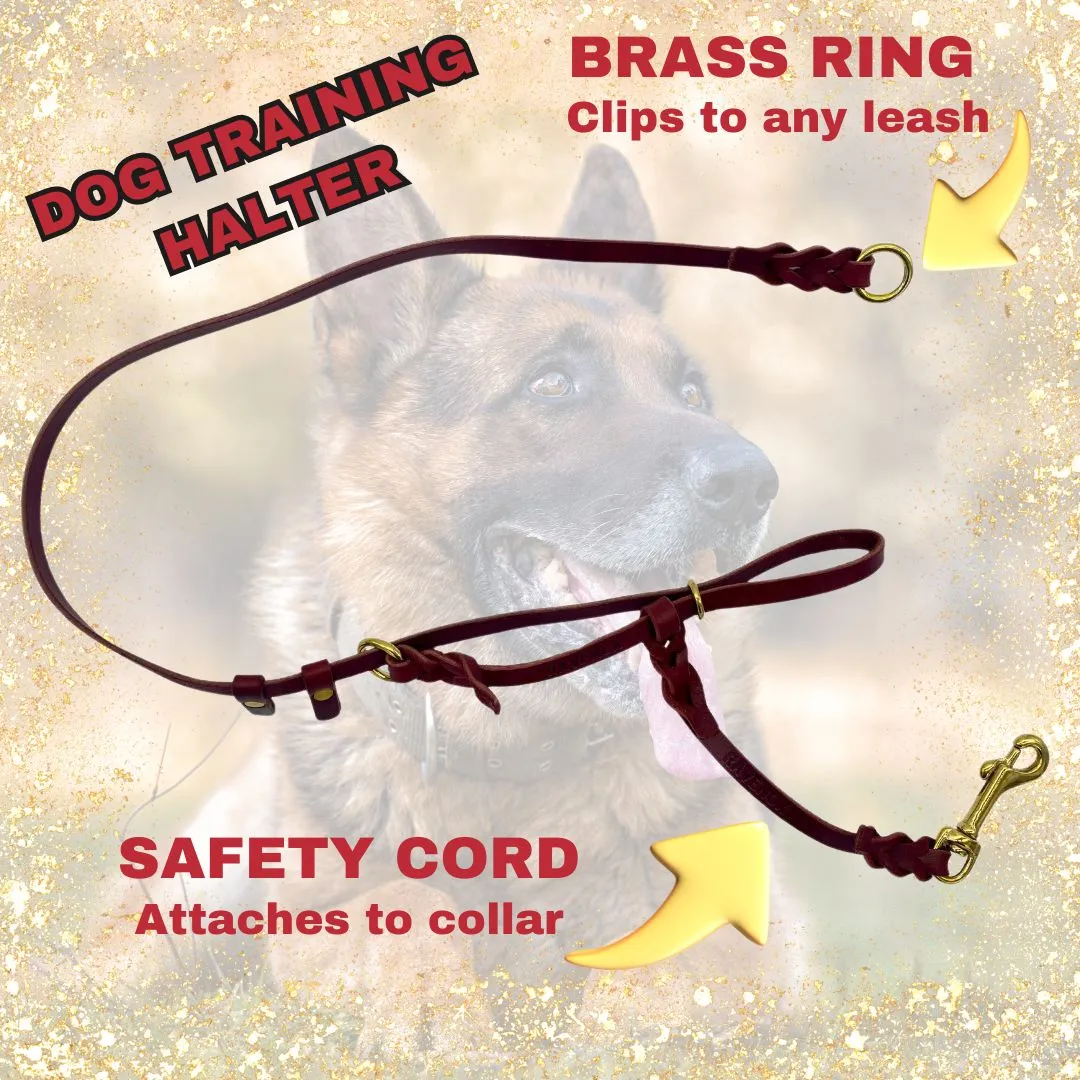 Leather Dog Training Halter & Leash
