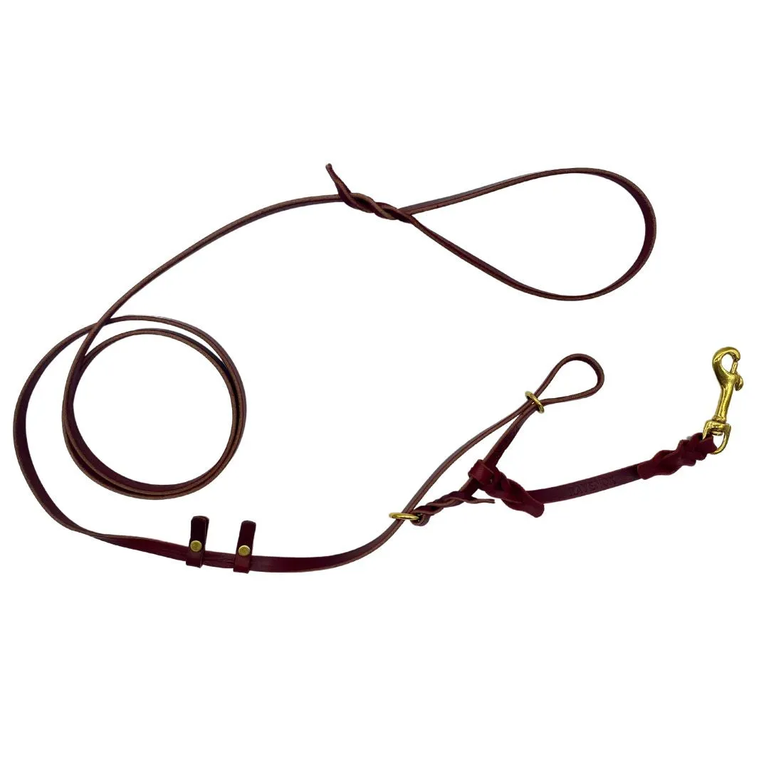 Leather Dog Training Halter & Leash
