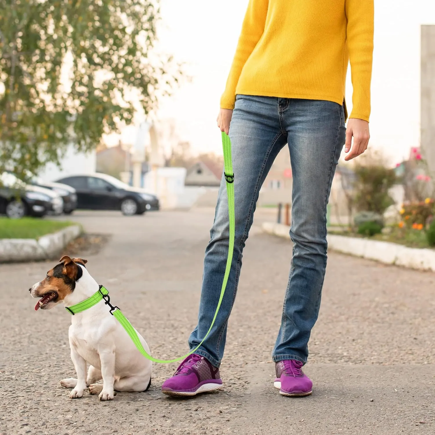 Mile High Life | Reflective Dog Collar & Leash (Solid Limegreen, Medium)