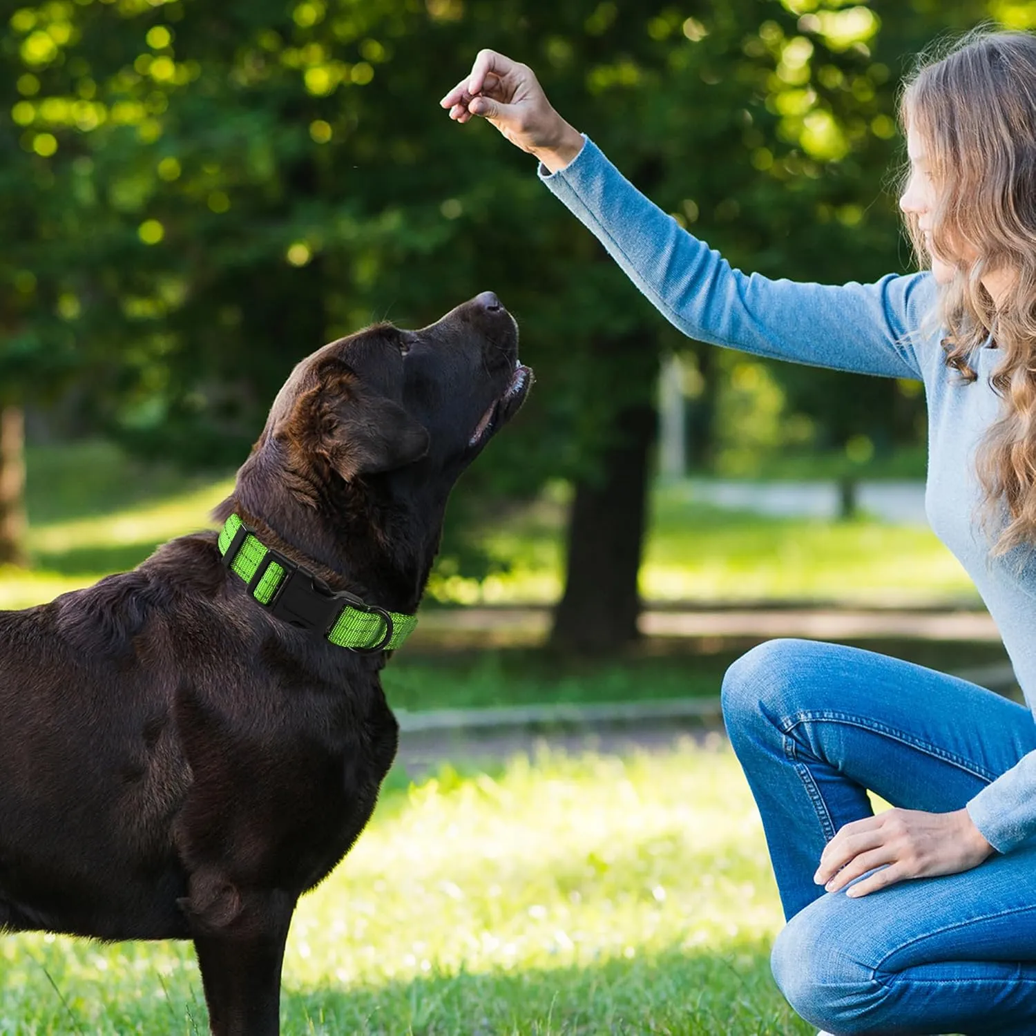 Mile High Life | Reflective Dog Collar & Leash (Solid Limegreen, Medium)
