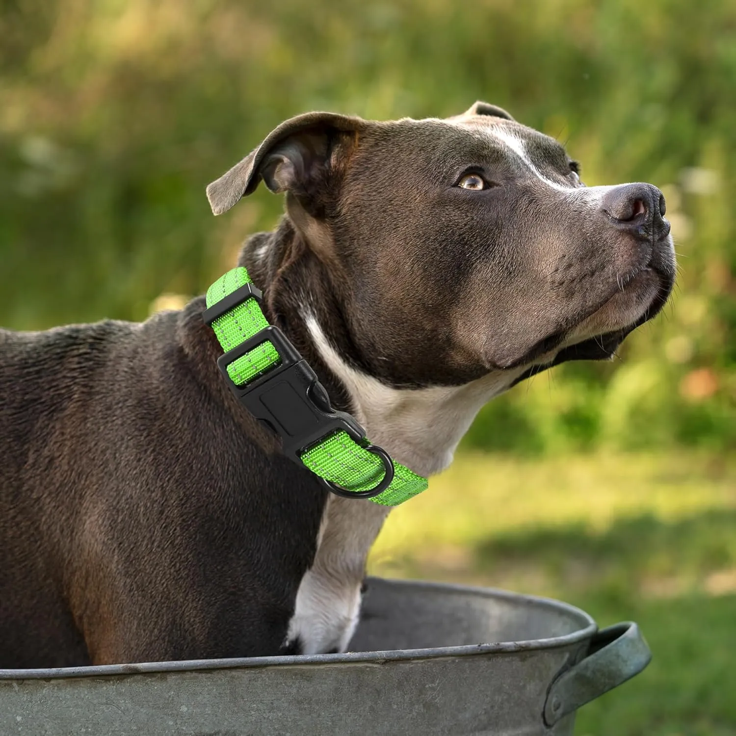 Mile High Life | Reflective Dog Collar & Leash (Solid Limegreen, Medium)