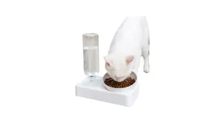 Pet Dog Cat Double Feeder Water Bowl