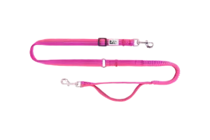 RC Pet Active Bungee Leash