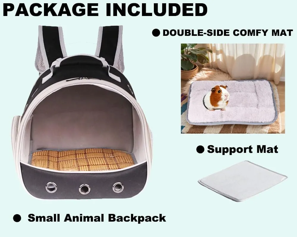 Small Pet Carrier Backpack for 2 Guinea Pig, Portable Travel Cage with Ventilation Holes, Clear Front Window