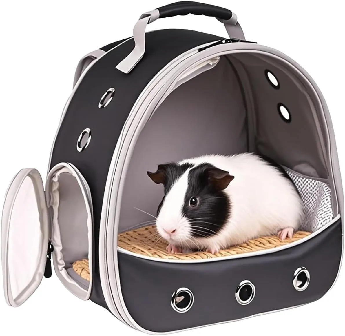 Small Pet Carrier Backpack for 2 Guinea Pig, Portable Travel Cage with Ventilation Holes, Clear Front Window