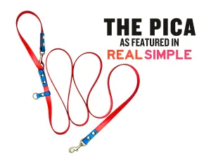 The Pica - for dogs 20-125 lbs.