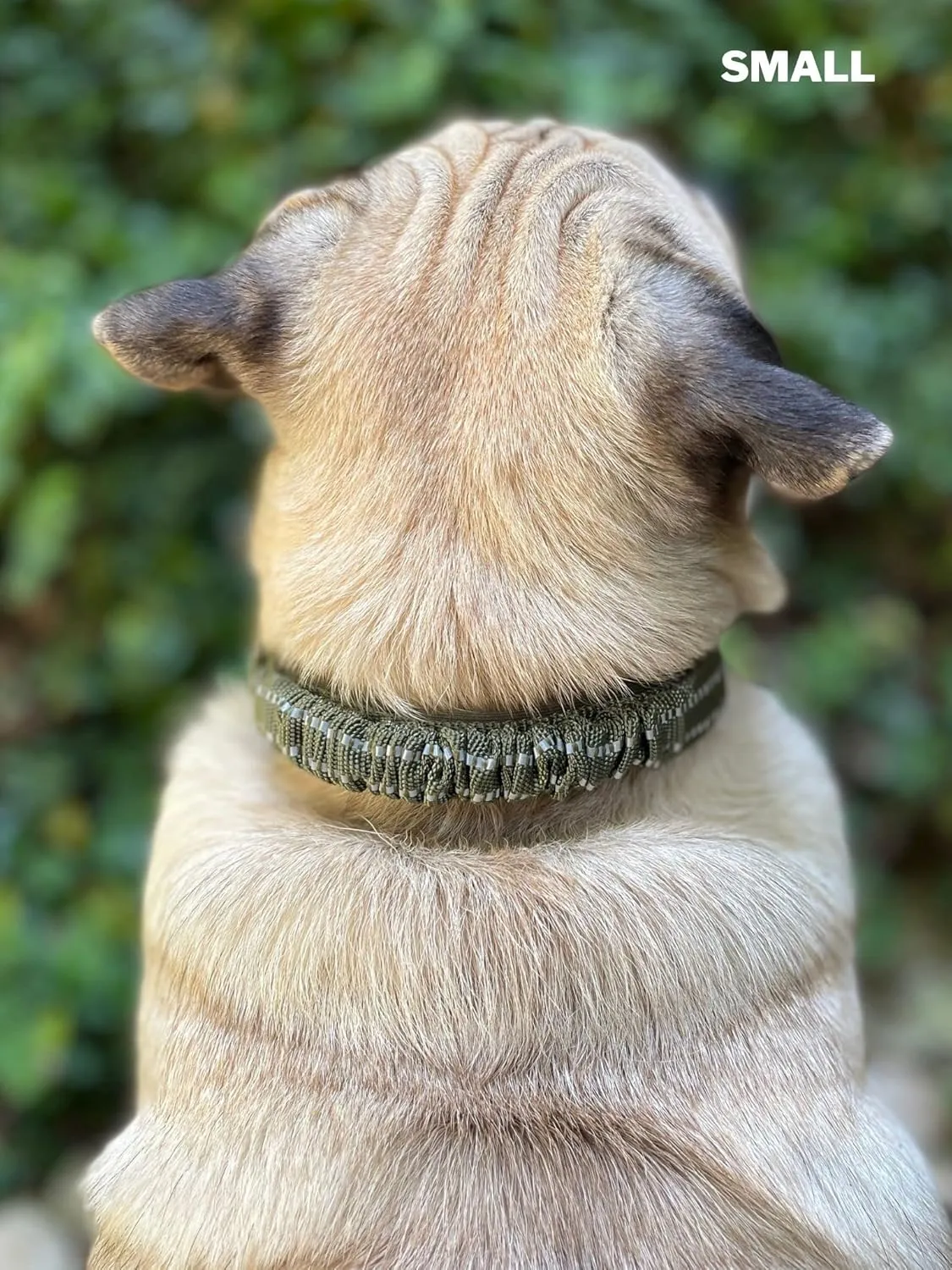 Tuff Pupper Heavy Duty Dog Collar with Handle | Ballistic Nylon Heavy Duty Collar | Padded Reflective Dog Collar with Adjustable Stainless Steel Hardware | Convenient Sizing for All Breeds
