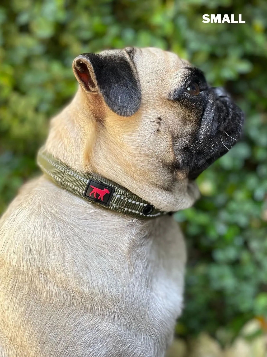 Tuff Pupper Heavy Duty Dog Collar with Handle | Ballistic Nylon Heavy Duty Collar | Padded Reflective Dog Collar with Adjustable Stainless Steel Hardware | Convenient Sizing for All Breeds