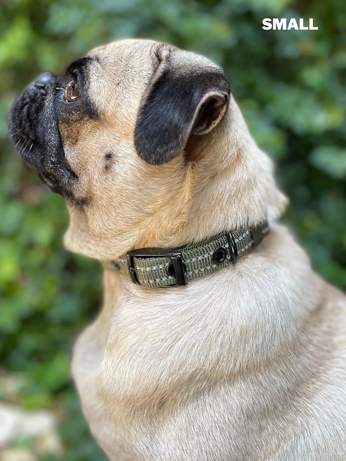 Tuff Pupper Heavy Duty Dog Collar with Handle | Ballistic Nylon Heavy Duty Collar | Padded Reflective Dog Collar with Adjustable Stainless Steel Hardware | Convenient Sizing for All Breeds